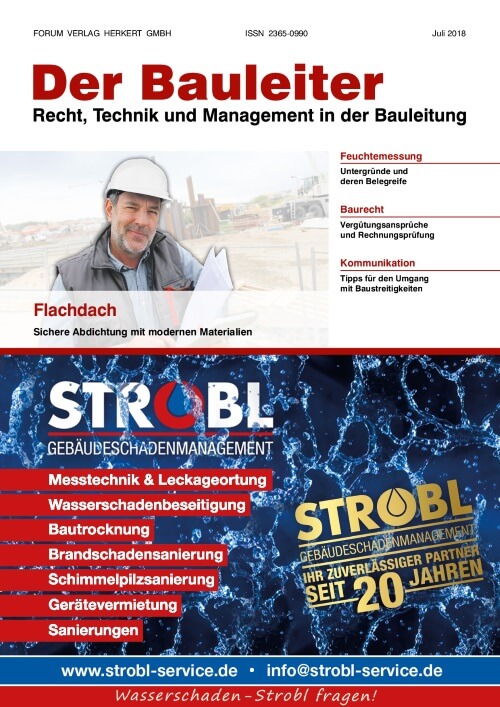 Ausgabe Juli 2018 Flachdach